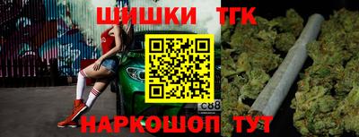индика Заводоуковск
