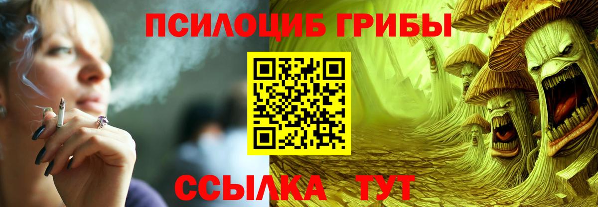 Псилоцибиновые грибы мицелий Бугульма